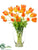 Tulip - Orange - Pack of 1