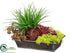 Silk Plants Direct Cabbage Echeveria, Vanilla Grass, Moss - Burgundy Green - Pack of 1