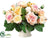 Rose - Apricot Pink - Pack of 1
