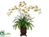 Silk Plants Direct Phalaenopsis Orchid - Green - Pack of 1