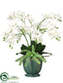 Silk Plants Direct Phalaenopsis Orchid, Sedum, Echeveria - White - Pack of 1