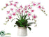 Silk Plants Direct Phalaenopsis Orchid, Feather Fern, Orchid Leaf - Beauty Green - Pack of 1