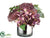 Protea, Hydrangea - Burgundy Lavender - Pack of 1