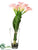 Calla Lily, Bird's Nest Fern Leaf - Pink Green - Pack of 1