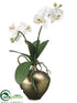 Silk Plants Direct Phalaenopsis Orchid - White - Pack of 1