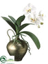 Silk Plants Direct Phalaenopsis Orchid - White - Pack of 1