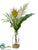 Protea, Staghorn Fern - Green - Pack of 1