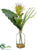 Protea, Staghorn Fern - Green - Pack of 1