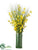 Oncidium Orchid, Grass - Yellow Green - Pack of 1