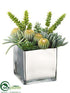 Silk Plants Direct Barrel Cactus, Monkey Tail, Aeonium - Green - Pack of 1