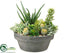 Silk Plants Direct Succulent - Green - Pack of 1