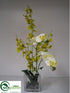 Silk Plants Direct Oncidium Orchid - Cream Yellow - Pack of 1