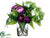 Ranunculus, Mini Hydrangea - Purple Green - Pack of 1