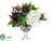 Ranunculus, Peony - Purple White - Pack of 1