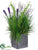 Willow Grass, Lavender, Bells of Ireland - Green Purple - Pack of 1