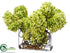 Silk Plants Direct Curly Willow/Cone Hydrangea - Lime - Pack of 1