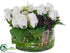 Silk Plants Direct Rose, Fern - White Green - Pack of 1