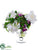 Ranunculus, Peony, Ruscus - White Purple - Pack of 1
