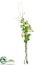Silk Plants Direct Rose, Thorn Vine - White Green - Pack of 1