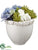 Hydrangea, Rose, Sedum - Blue White - Pack of 1