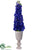 Delphinium - Blue - Pack of 1