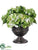Hydrangea, Sedum - Green - Pack of 1