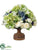 Hydrangea, Ranunculus, Statice, Lavender - Green Lavender - Pack of 1