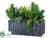 Succulent - Green - Pack of 1
