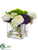 Ranunculus, Hydrangea - White Eggplant - Pack of 1