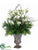 Lilac, Locust, Curly Willow - Cream Green - Pack of 1
