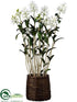 Silk Plants Direct Star Cattleya Plant - Cream Green - Pack of 1