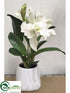 Silk Plants Direct Cattleya Plant - White - Pack of 1