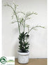 Silk Plants Direct Rananterea Plant - White - Pack of 1