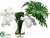 Phalaenopsis, Selloum Leaf, Palm Leaf - White Green - Pack of 1