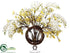 Silk Plants Direct Phalaenopsis, Heptacoduim, Twig - White Yellow - Pack of 1