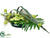 Snowball, Ranunculus, Selloum - Green - Pack of 1