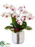 Silk Plants Direct Bird's Nest Leaf, Phalaenopsis - White Orchid - Pack of 1