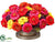 Zinnia - Fuchsia Yellow - Pack of 1