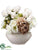 Rose, Gerbera, Hydrangea - Cream Taupe - Pack of 1