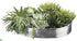 Silk Plants Direct Succulent - Green - Pack of 1