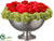 Rose, Sedum - Red Green - Pack of 1