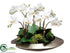 Silk Plants Direct Phalaenopsis, Sedum - White - Pack of 1