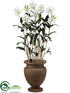 Silk Plants Direct Cattleya Orchid - Cream Green - Pack of 1