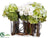 Hydrangea, Ranunculus, Curly Willow Arrangement - Green Cream - Pack of 1