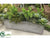 Echeveria, Sedum, Aeonium - Green - Pack of 1