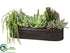 Silk Plants Direct Echeveria, Hypericum, Aeonium - Green - Pack of 1