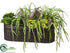 Silk Plants Direct Echeveria, Sedum, Hanging Cactus - Green - Pack of 1