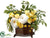 Peony, Calendula, Tulips - Yellow White - Pack of 1