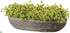 Silk Plants Direct Baby Breath - Green - Pack of 1