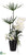 Cypress, Vanda Orchid - White - Pack of 1